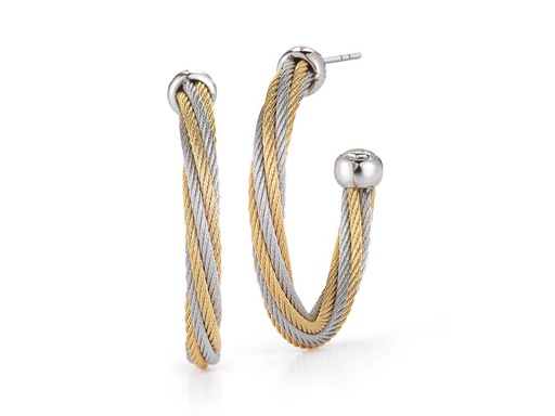 Earring 18k White Gold &amp; Ss &amp; Yellow, Gray Ss Cable