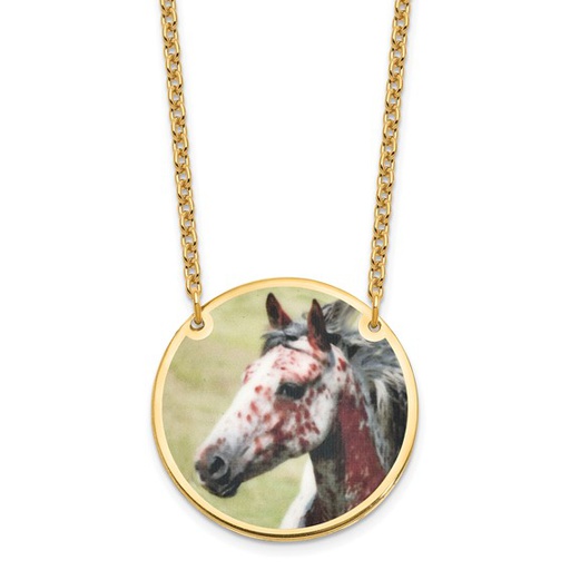 [FNEC.00078055] Gold-plated Large Picture Jewelry Disc Necklace