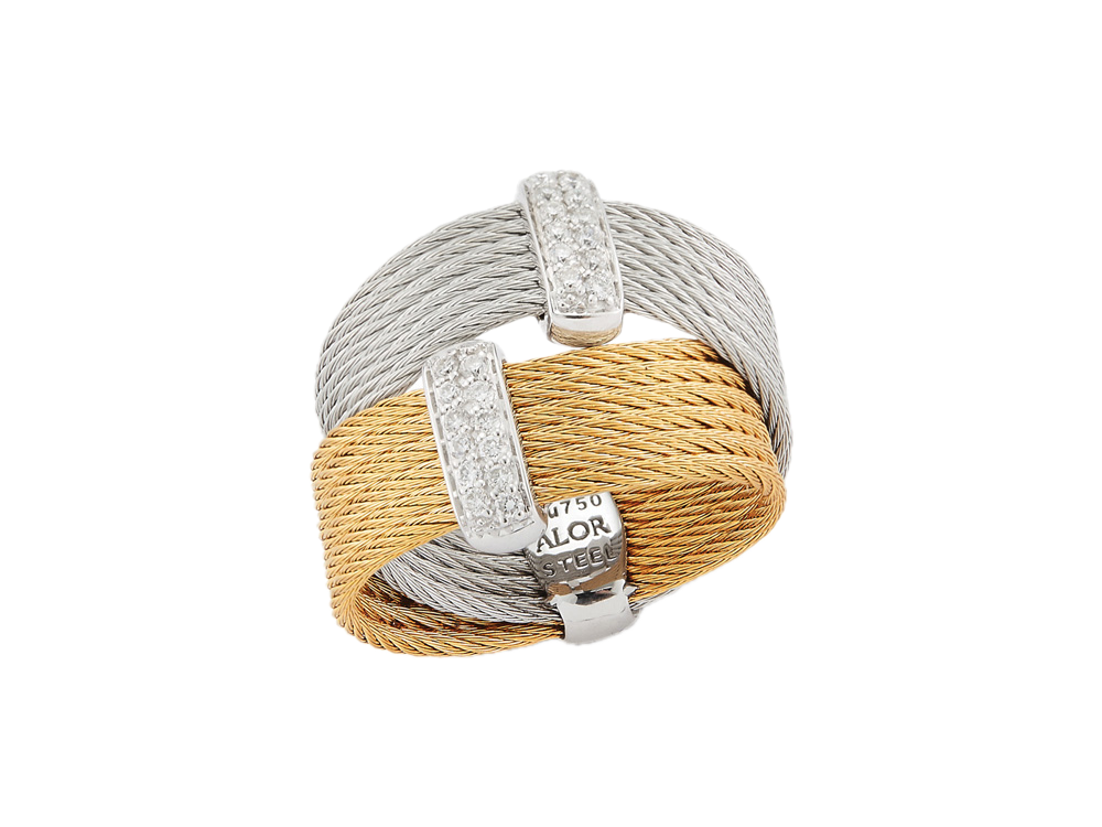 Ring 18k Yellow Gold & Ss & Yellow PVD & Ss Cable Size 7