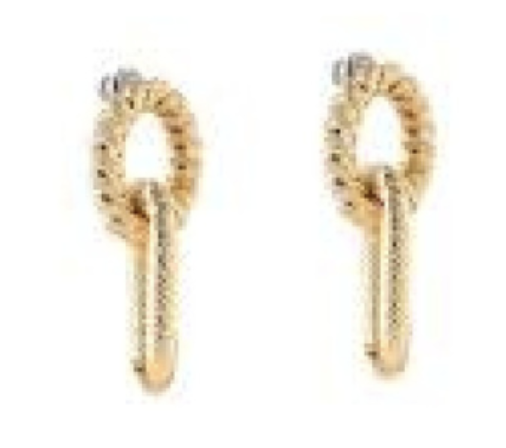 Diva Link Earrings