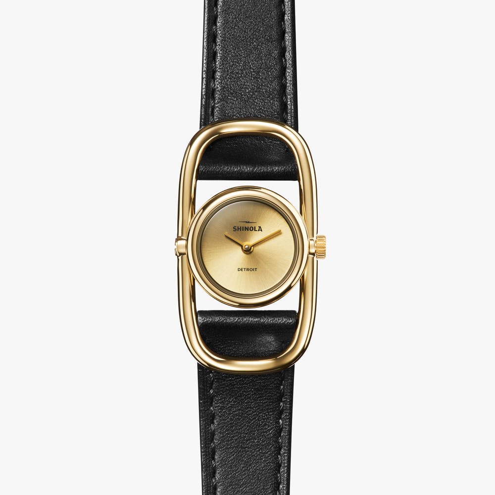The Bike Lock Watch Pvd