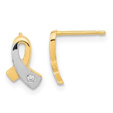 14k Awareness Post Earrings With Cz