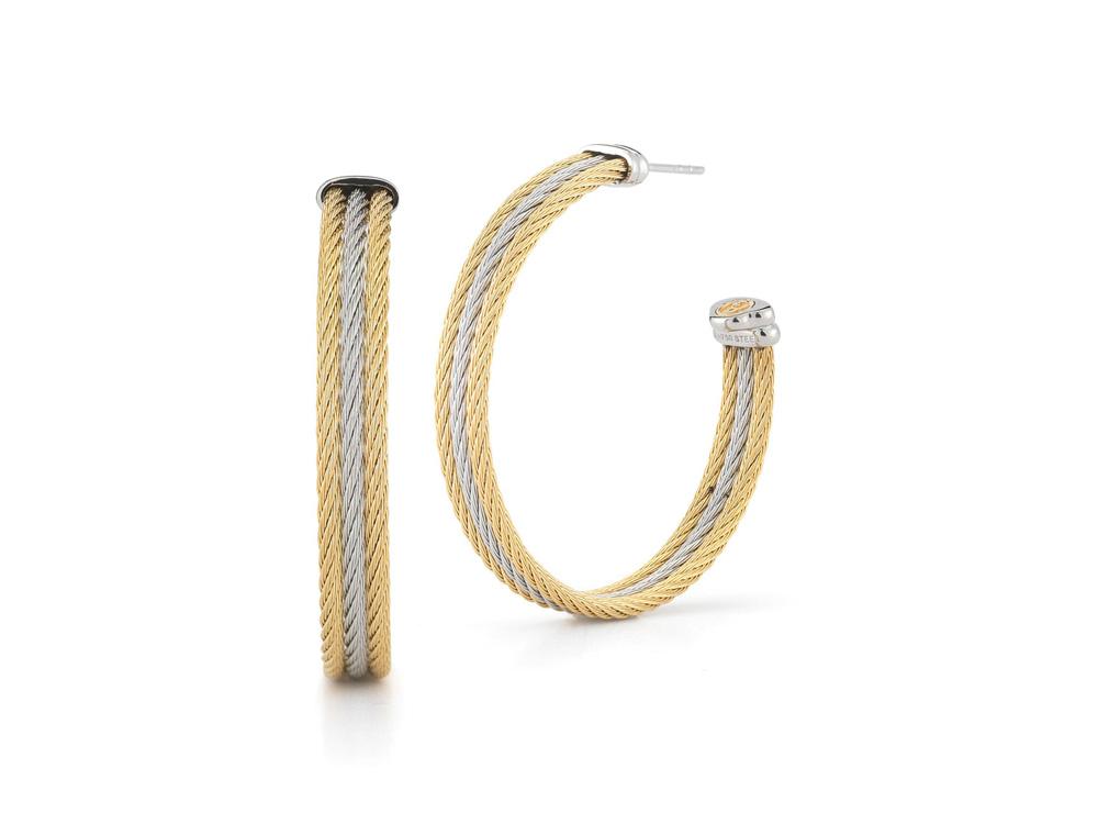 Earring 18k White Gold & Ss & Yellow & Grey Cable