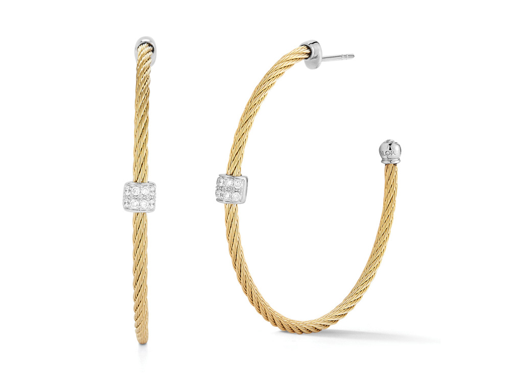 Earring 18k White Gold & Ss & Yellow Pvd